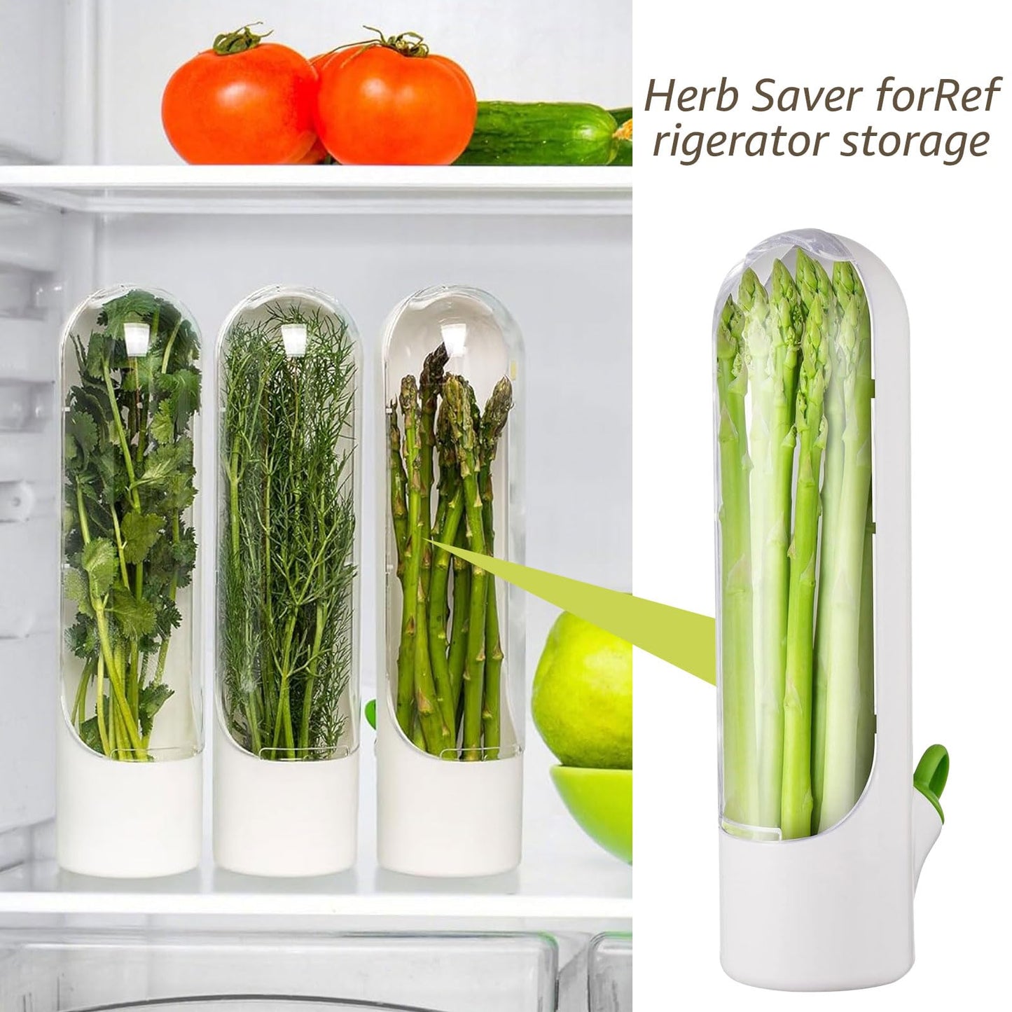 Boîtes de rangement pour herbes