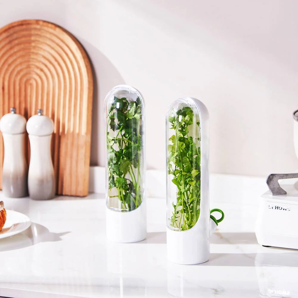 Boîtes de rangement pour herbes