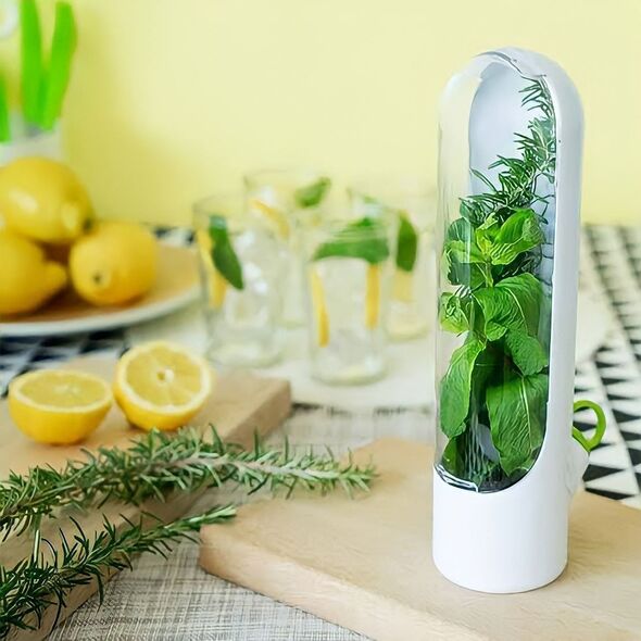 Boîtes de rangement pour herbes