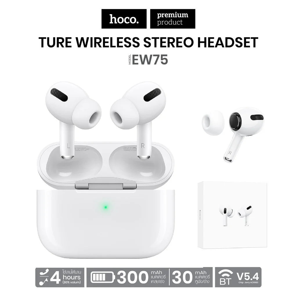Ecouteur Hoco Ew75