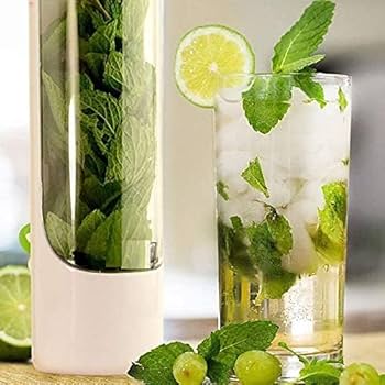 Boîtes de rangement pour herbes